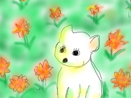 image.jpg